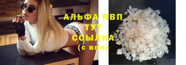 индика Балабаново